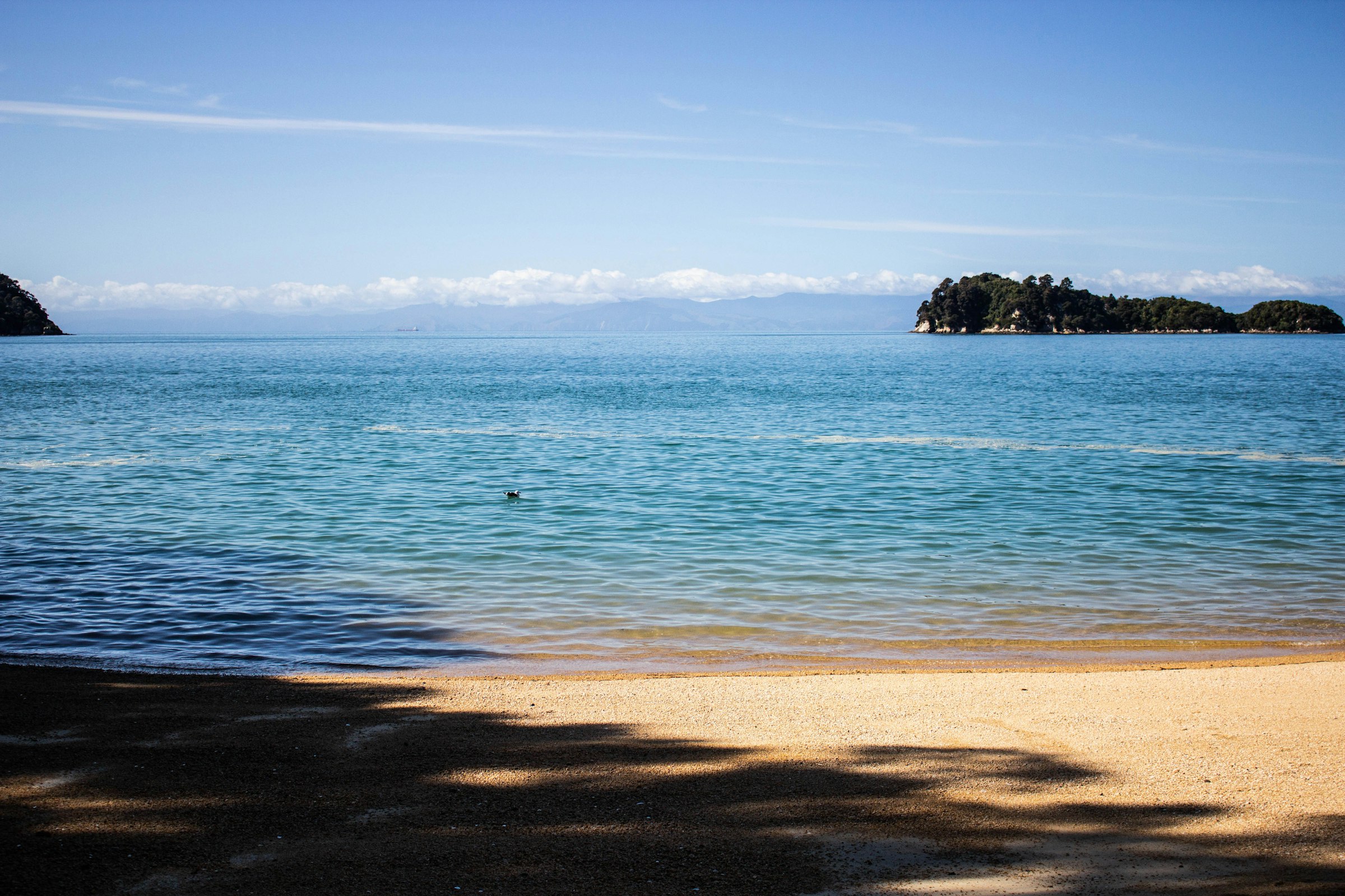 Beautiful coastline in the Nelson Tasman region of New Zealand